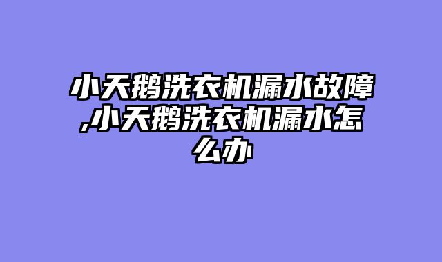 小天鹅洗衣机漏水故障,小天鹅洗衣机漏水怎么办