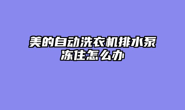 美的自动洗衣机排水泵冻住怎么办