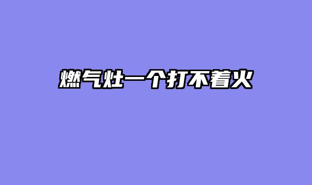 燃气灶一个打不着火