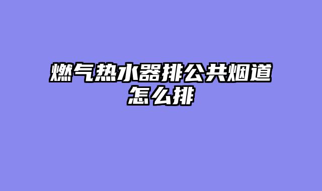 燃气热水器排公共烟道怎么排