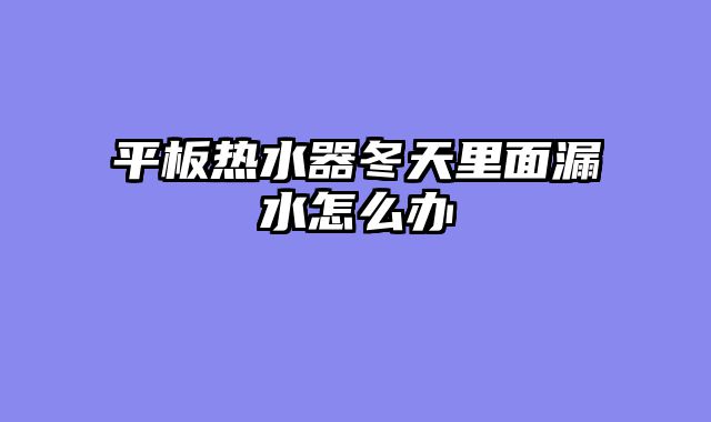 平板热水器冬天里面漏水怎么办