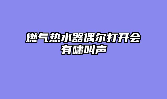 燃气热水器偶尔打开会有啸叫声