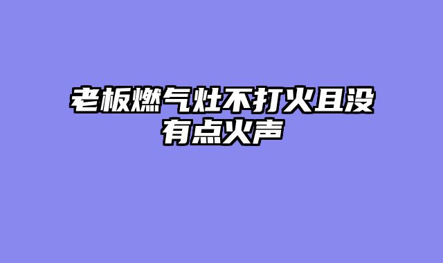 老板燃气灶不打火且没有点火声