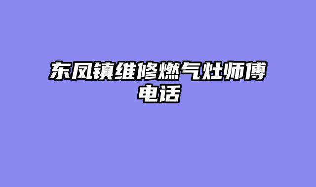 东凤镇维修燃气灶师傅电话