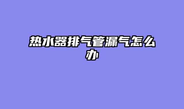 热水器排气管漏气怎么办