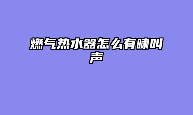 燃气热水器怎么有啸叫声