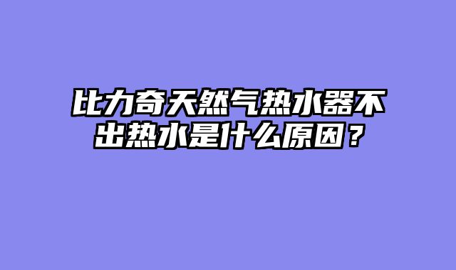 比力奇天然气热水器不出热水是什么原因？