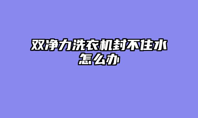 双净力洗衣机封不住水怎么办