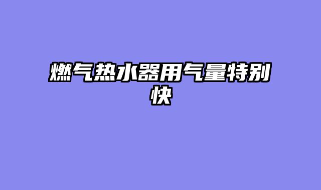 燃气热水器用气量特别快