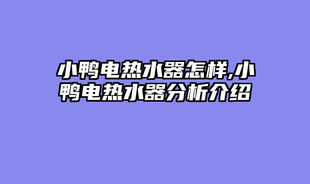 小鸭电热水器怎样,小鸭电热水器分析介绍