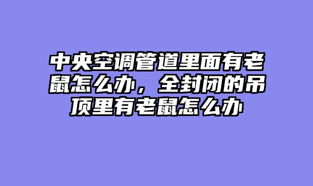 中央空调管道里面有老鼠怎么办，全封闭的吊顶里有老鼠怎么办