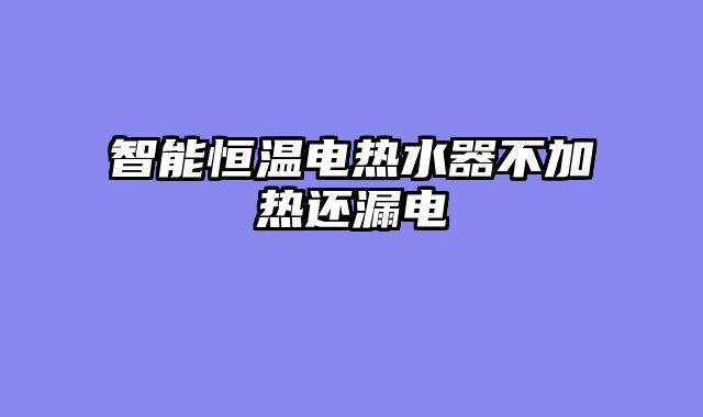智能恒温电热水器不加热还漏电