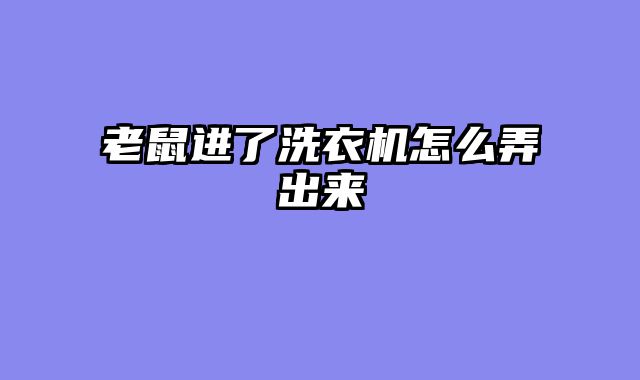 老鼠进了洗衣机怎么弄出来
