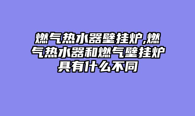 燃气热水器壁挂炉,燃气热水器和燃气壁挂炉具有什么不同