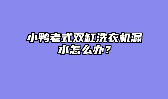 小鸭老式双缸洗衣机漏水怎么办？