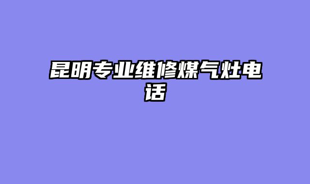昆明专业维修煤气灶电话