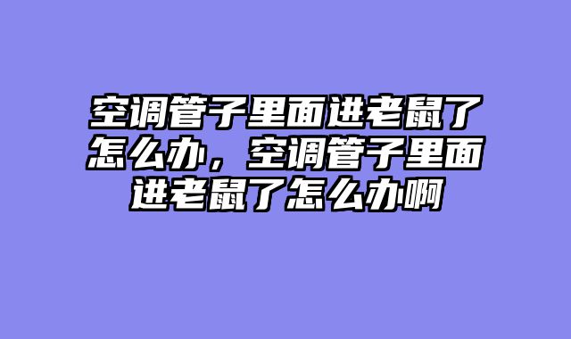 空调管子里面进老鼠了怎么办，空调管子里面进老鼠了怎么办啊