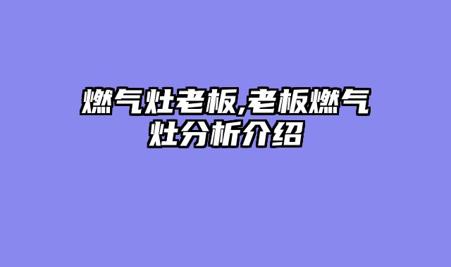 燃气灶老板,老板燃气灶分析介绍