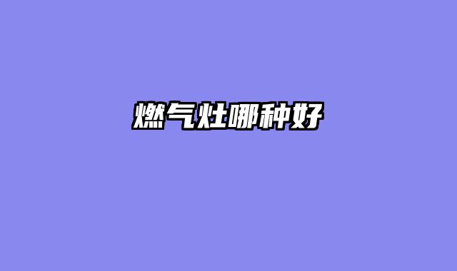 燃气灶哪种好
