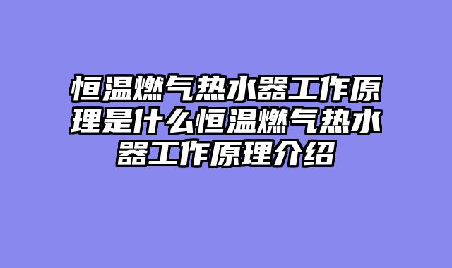 恒温燃气热水器工作原理是什么恒温燃气热水器工作原理介绍