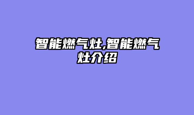 智能燃气灶,智能燃气灶介绍