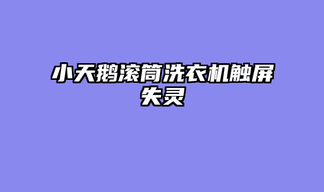 小天鹅滚筒洗衣机触屏失灵