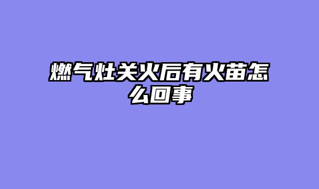 燃气灶关火后有火苗怎么回事