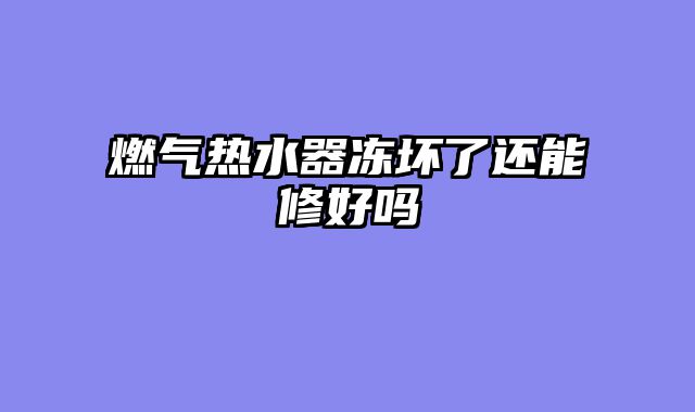 燃气热水器冻坏了还能修好吗