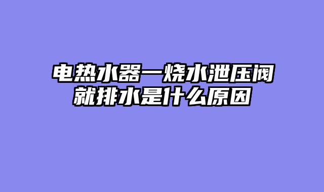 电热水器一烧水泄压阀就排水是什么原因