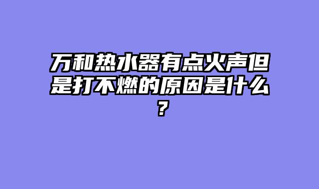 万和热水器有点火声但是打不燃的原因是什么？