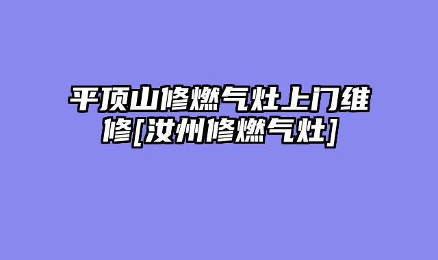 平顶山修燃气灶上门维修[汝州修燃气灶]