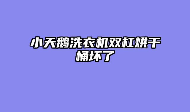 小天鹅洗衣机双杠烘干桶坏了