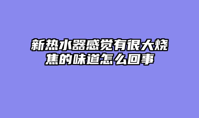 新热水器感觉有很大烧焦的味道怎么回事