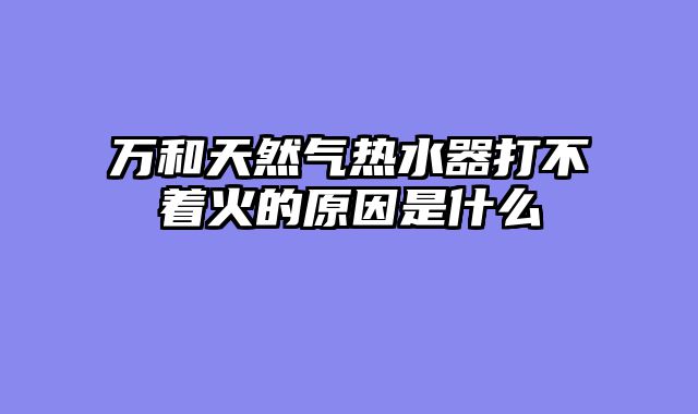 万和天然气热水器打不着火的原因是什么