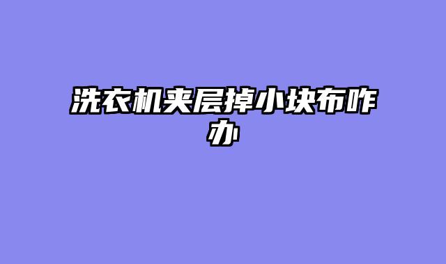 洗衣机夹层掉小块布咋办