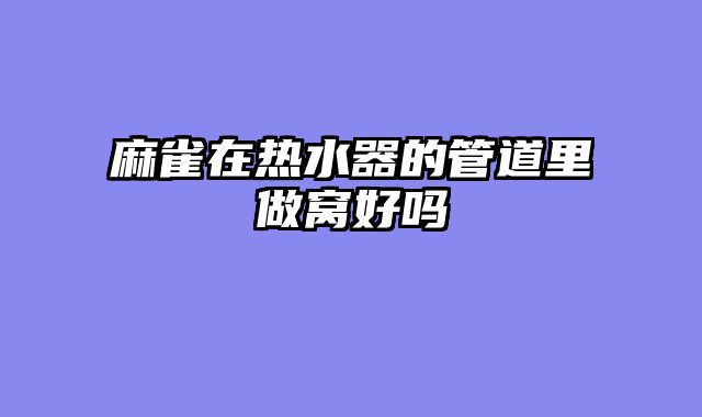 麻雀在热水器的管道里做窝好吗