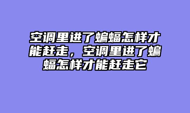 空调里进了蝙蝠怎样才能赶走，空调里进了蝙蝠怎样才能赶走它