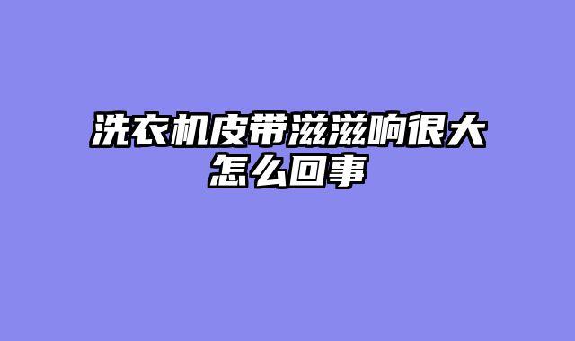 洗衣机皮带滋滋响很大怎么回事