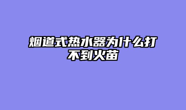 烟道式热水器为什么打不到火苗
