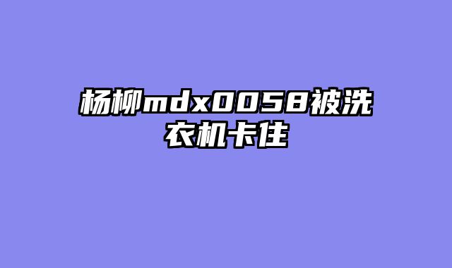 杨柳mdx0058被洗衣机卡住