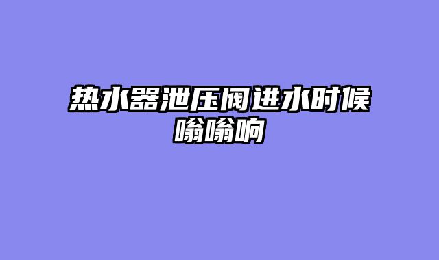 热水器泄压阀进水时候嗡嗡响