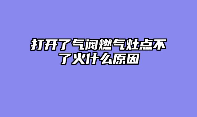 打开了气阀燃气灶点不了火什么原因