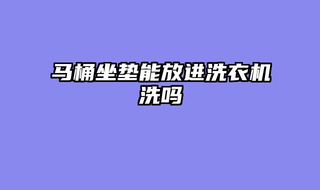 马桶坐垫能放进洗衣机洗吗