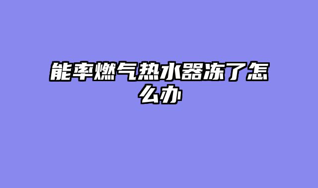 能率燃气热水器冻了怎么办