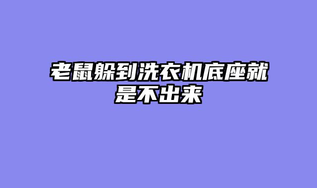 老鼠躲到洗衣机底座就是不出来