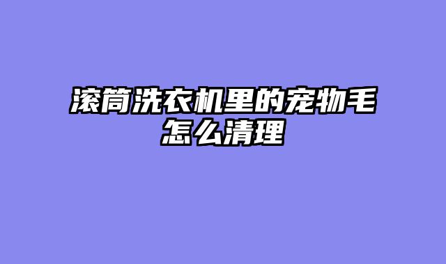 滚筒洗衣机里的宠物毛怎么清理