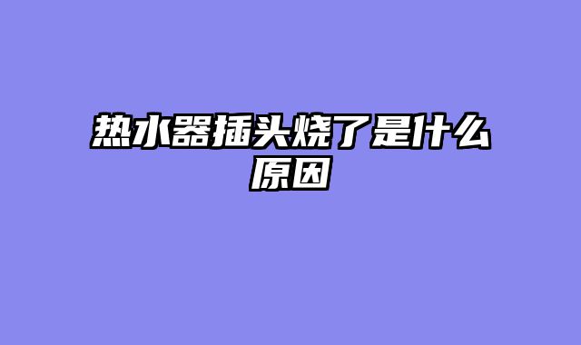 热水器插头烧了是什么原因