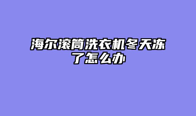 海尔滚筒洗衣机冬天冻了怎么办