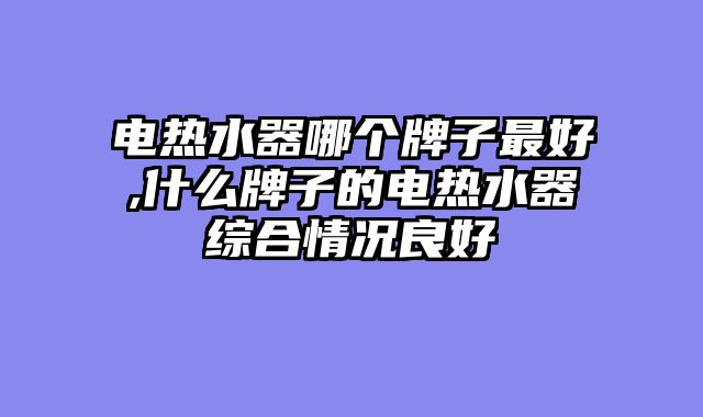 电热水器哪个牌子最好,什么牌子的电热水器综合情况良好