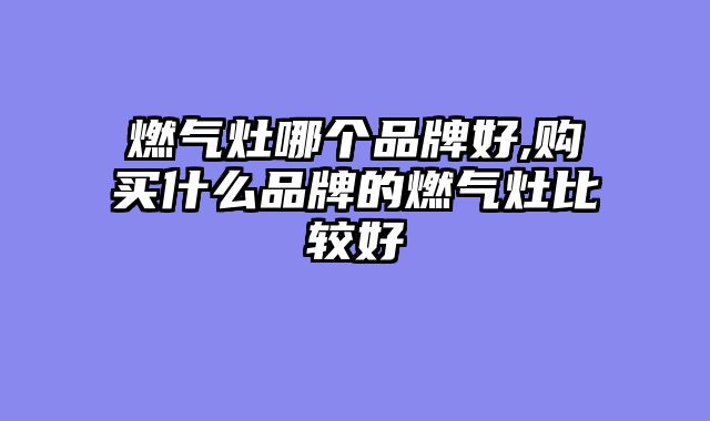 燃气灶哪个品牌好,购买什么品牌的燃气灶比较好
